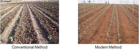 Conventional vs Modern Irrigation Techniques