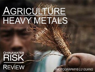 Agriculture & Heavy Metals