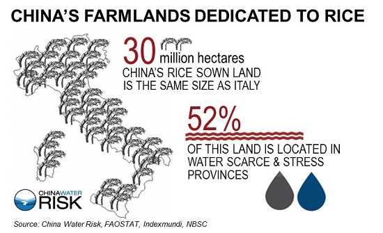 CWR China's Farmlands Dedicated to Rice