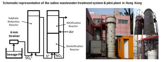 Schematic representation of the saline wastewater treatment system and pilot-plant in Hong Kong